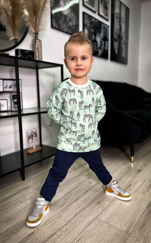 Dres Zebry