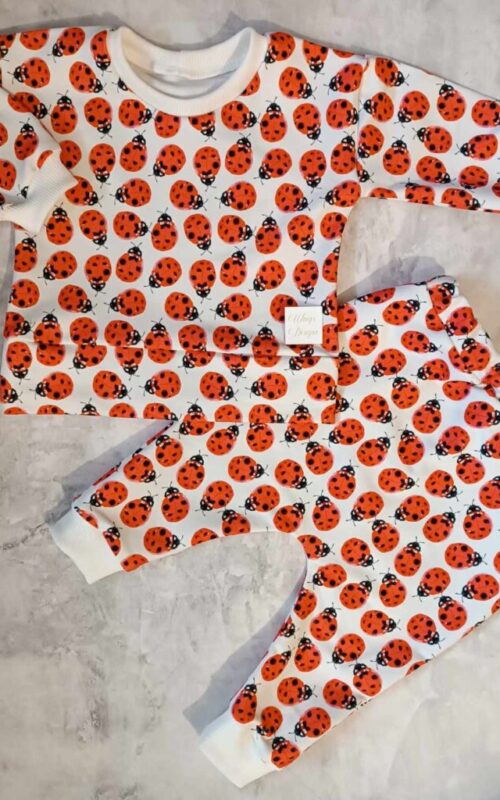 Dres Biedronki