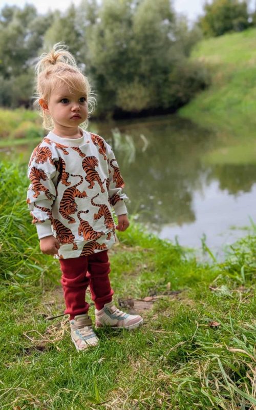 Dres Tygrysy na białym