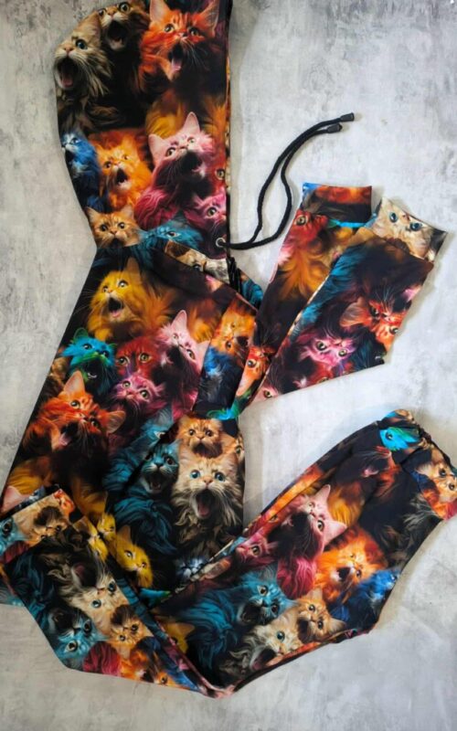 Dres kolorowe krzyczące koty