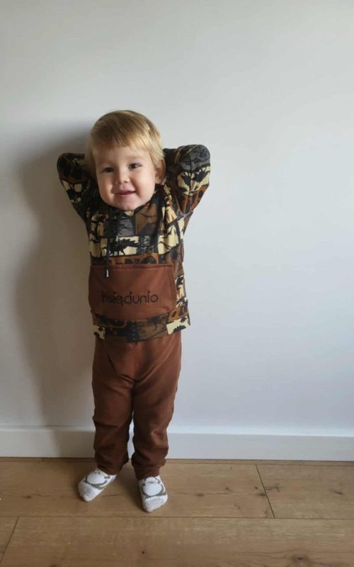 Dres Dino komiks Księciunio