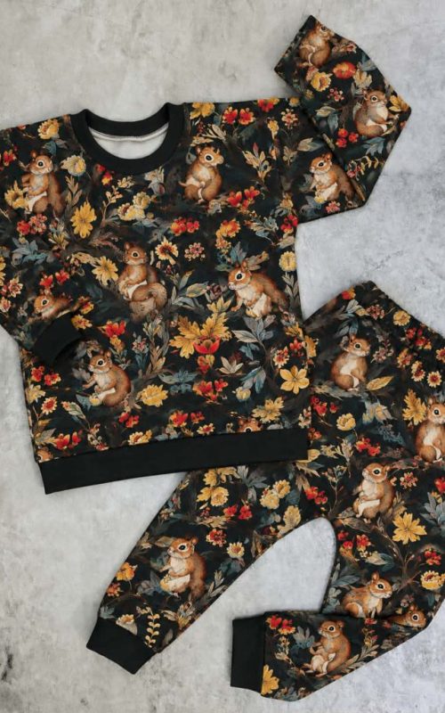 Dres dziecięcy w wiewiórki – bluza i spodnie