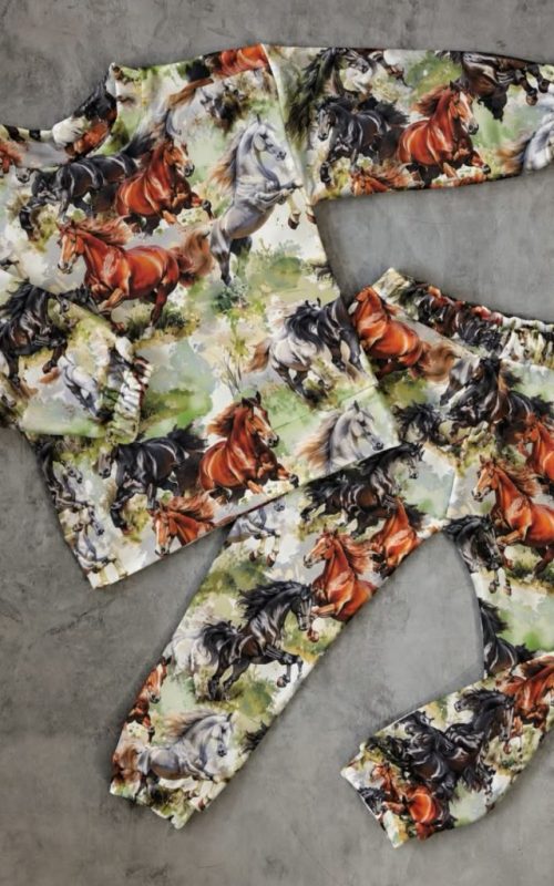Dres dziecięcy w konie na łące – bluza i spodnie